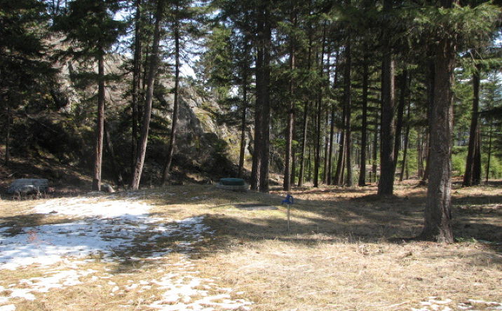 image of property at NHN GOLF STREET Thompson Falls MT 59873