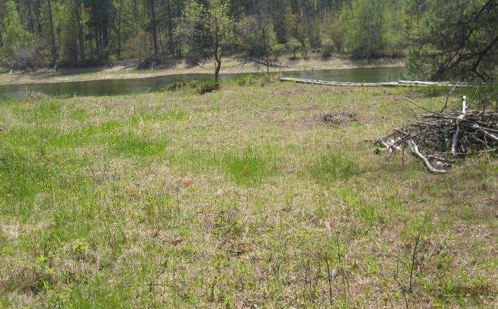 image of property at 720 WOLF CREEK DRIVE Bigfork MT 59911