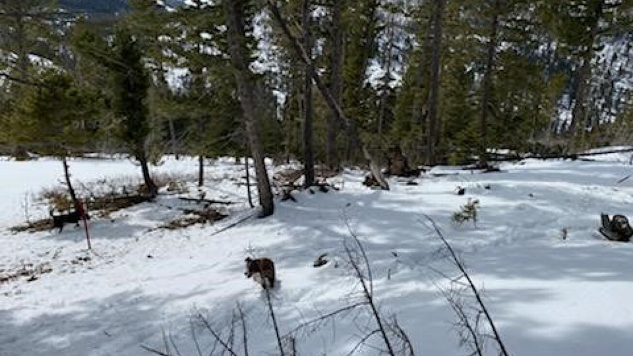 0TBD Rimini Road, Helena, MT 59601