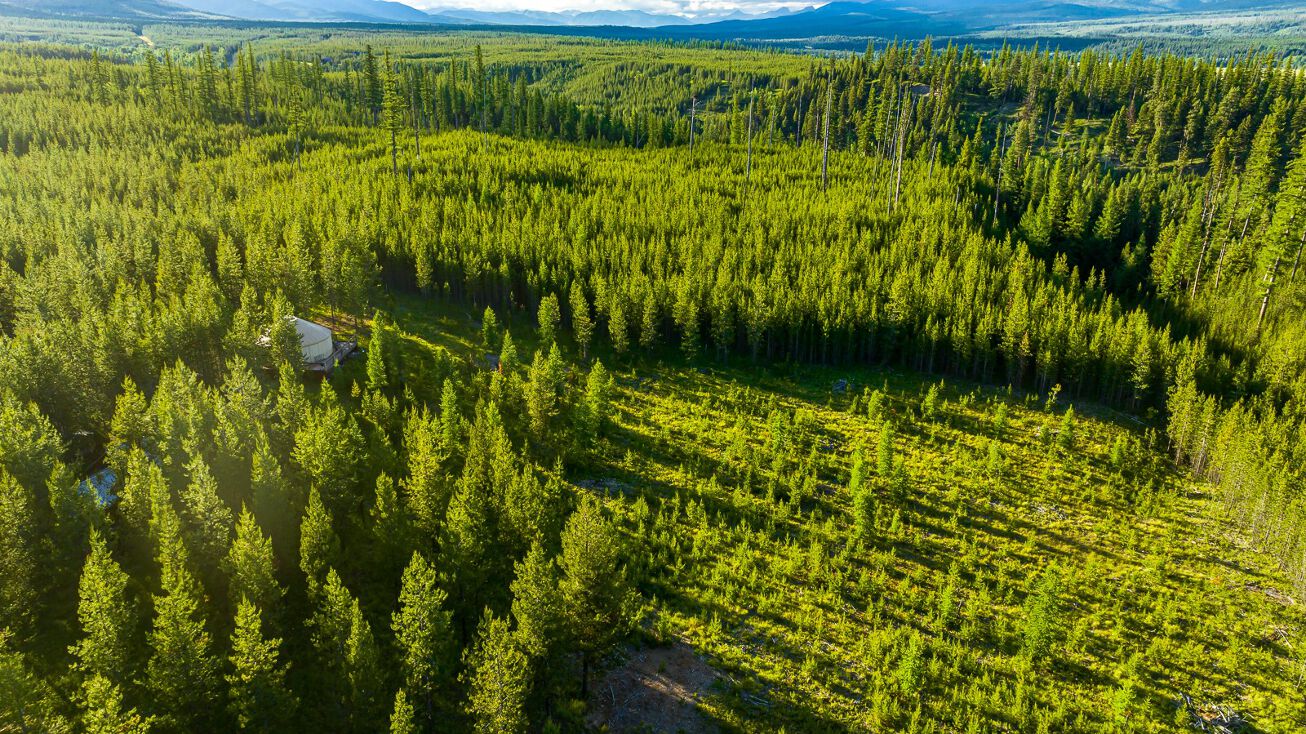 11532 North Fork Road, Polebridge, MT 59928