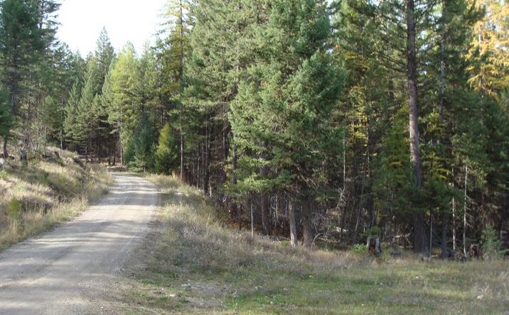Pictures of Land property located at Lot 8 Whispering Pines Subdivision, Fortine, MT 59918 for sales - image #1