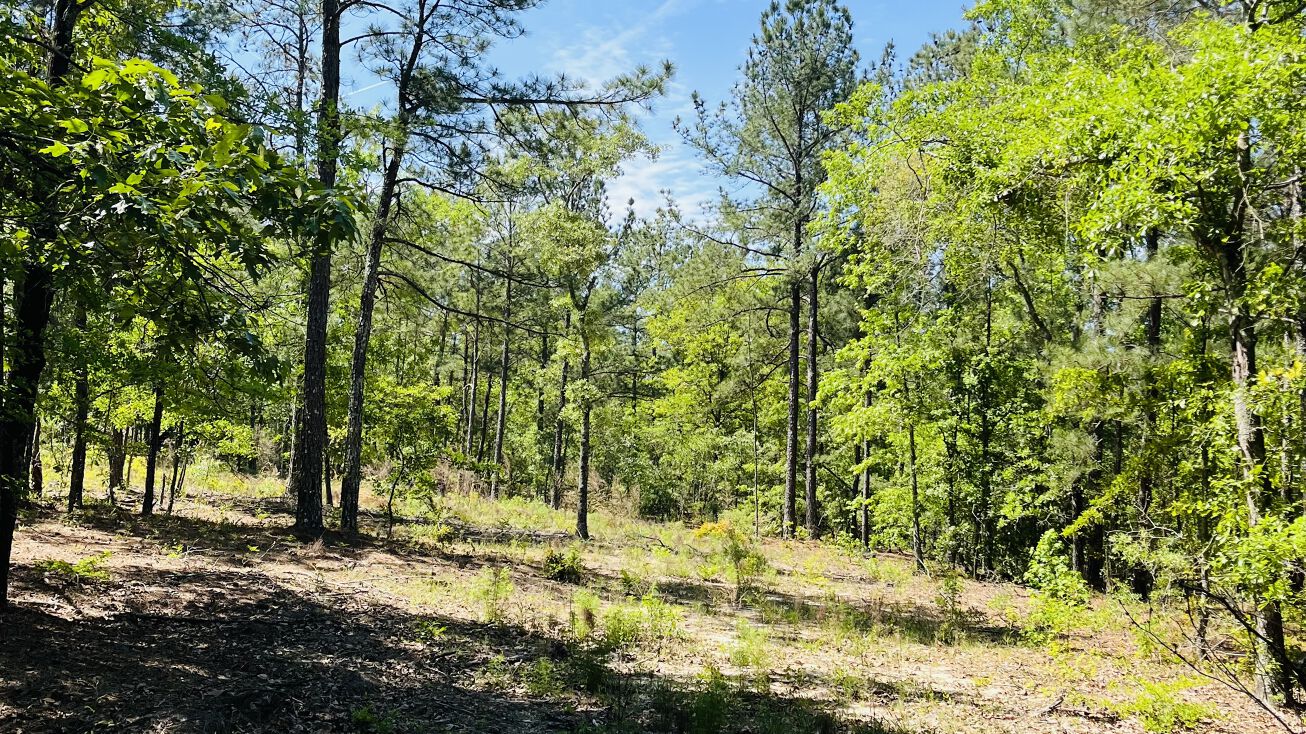 Moncrief Rd, Roberta, GA 31078