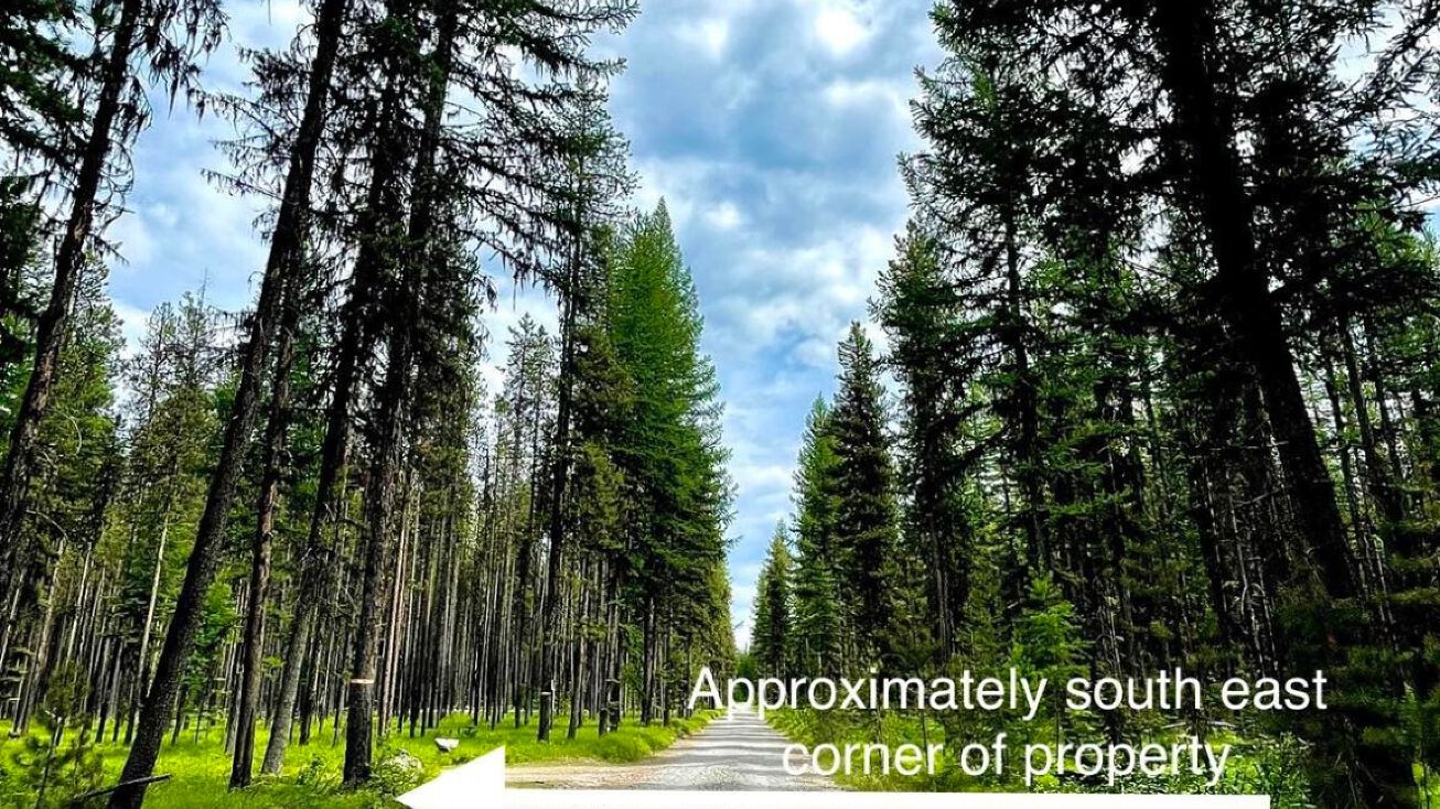 825 Trail Creek Road, Polebridge, MT 59928