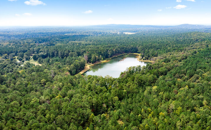 Pictures of Land property located at Ore Mine Rd, Taylorsville, GA 30178 for sales - image #1