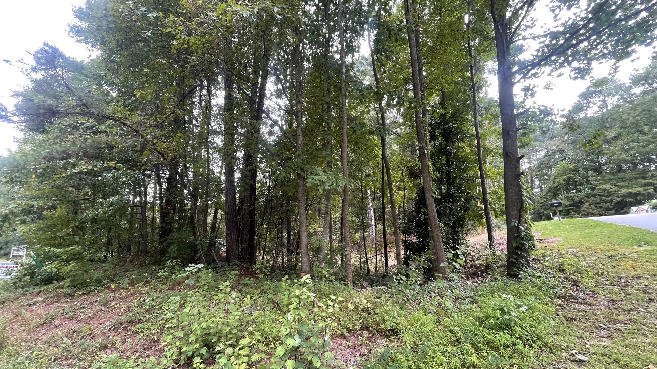 970 MackTodd Rd, Zebulon, NC 27597