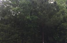 13098095