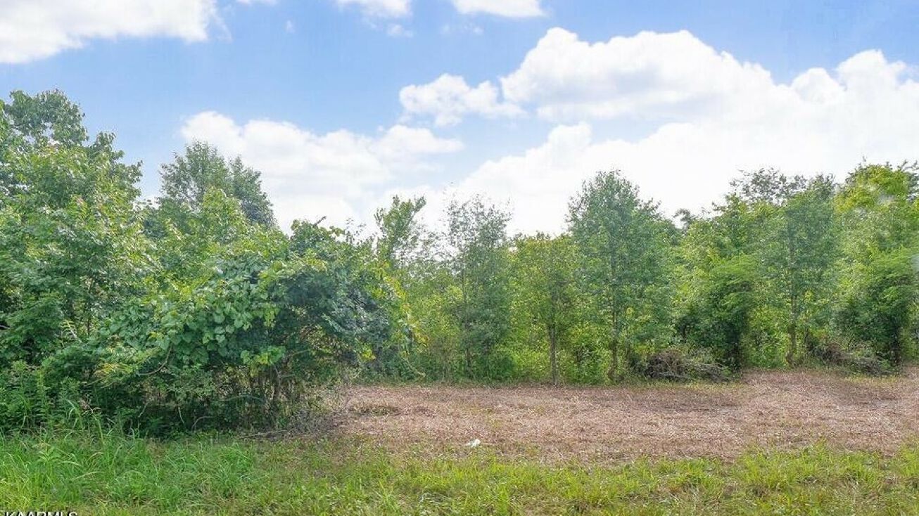 Gravelly Hills Rd, Louisville, TN 37777