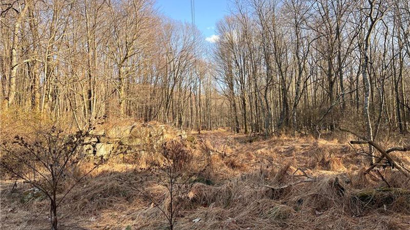 000 Spruce Rd, Clymer, PA 15728