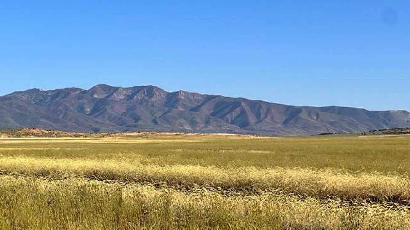208 Acres of Agricultural Land for Sale in Holden, Holden, UT 84636