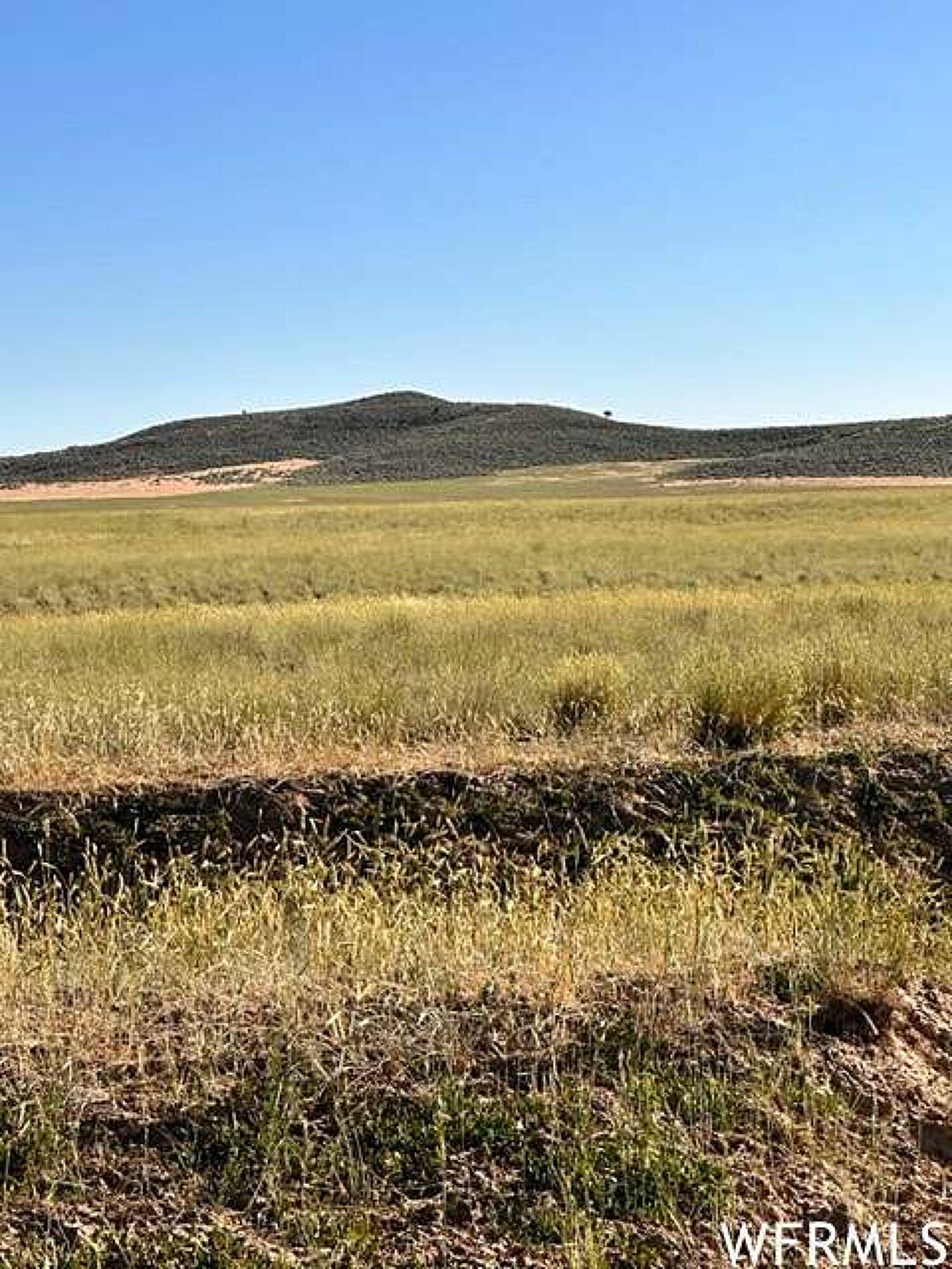 208 ACRES OF AGRICULTURAL LAND FOR SALE IN HOLDEN Holden UT 84636 APN