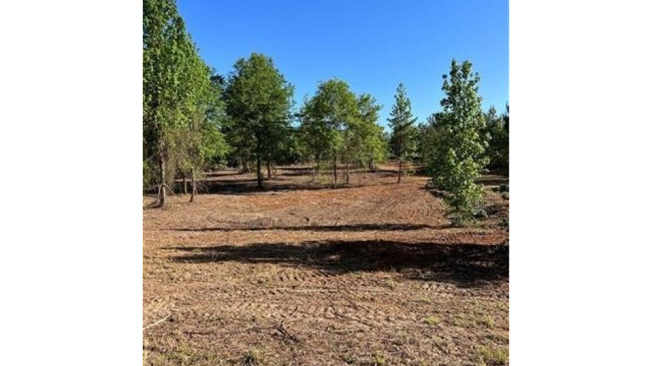 230 Hughart Rd, Pollock, LA 71467