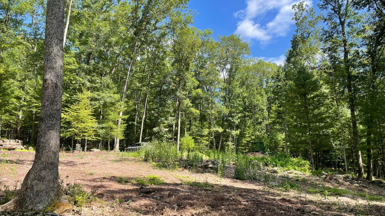 Naomi Dr, Callicoon, NY 12723