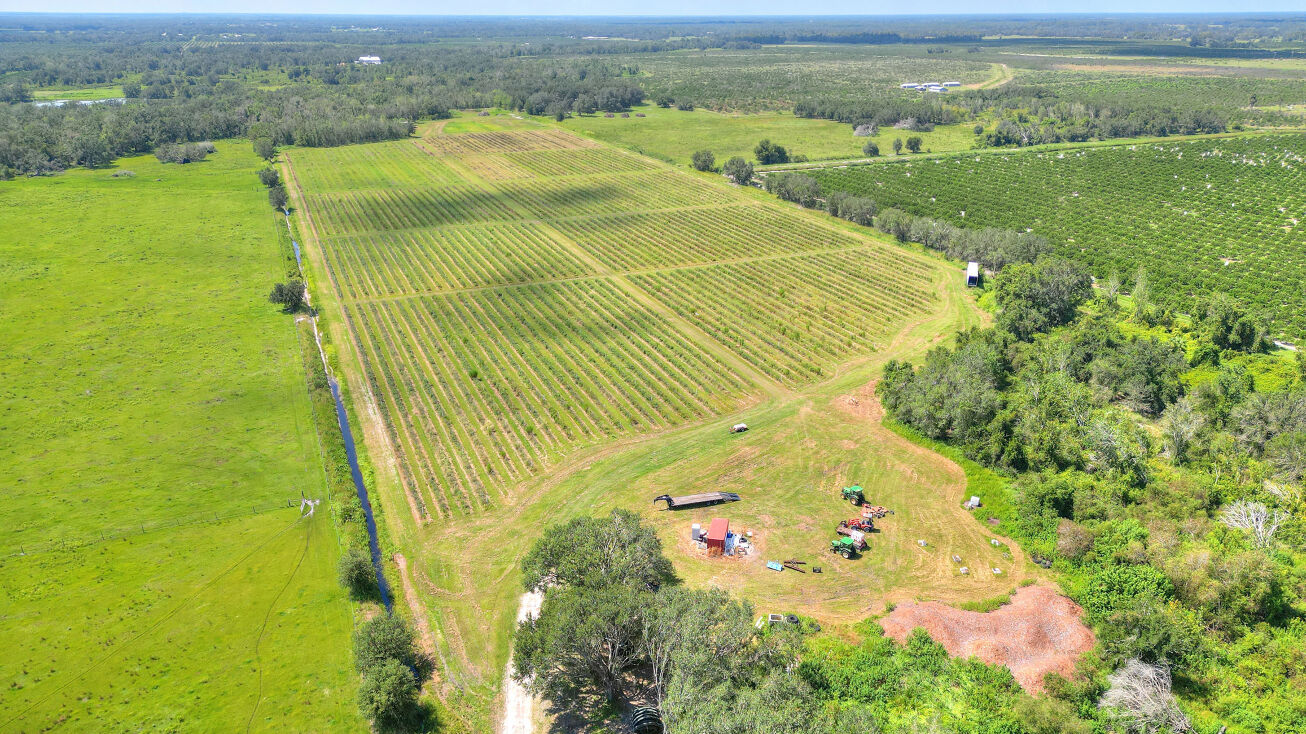 7397 NW Pine Level St, Arcadia, FL 34266