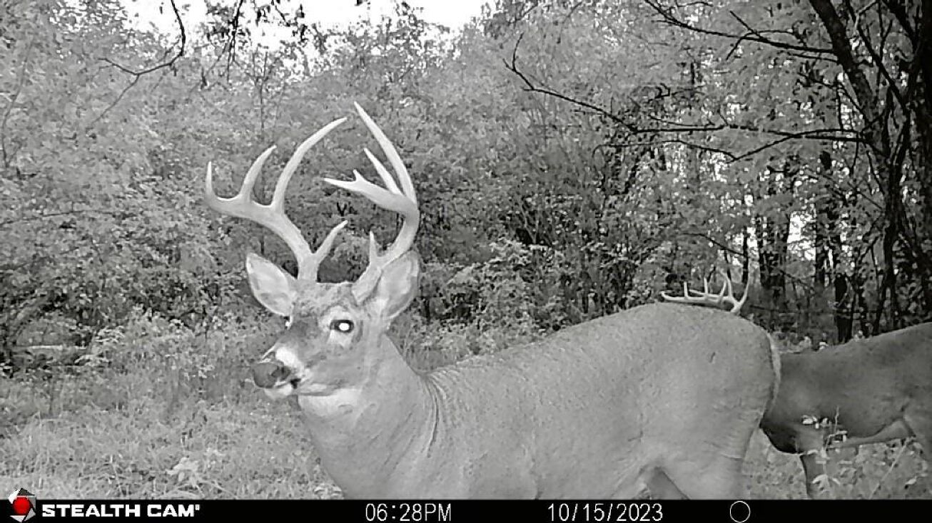 Wyoming Road, Wellsville, KS 66092