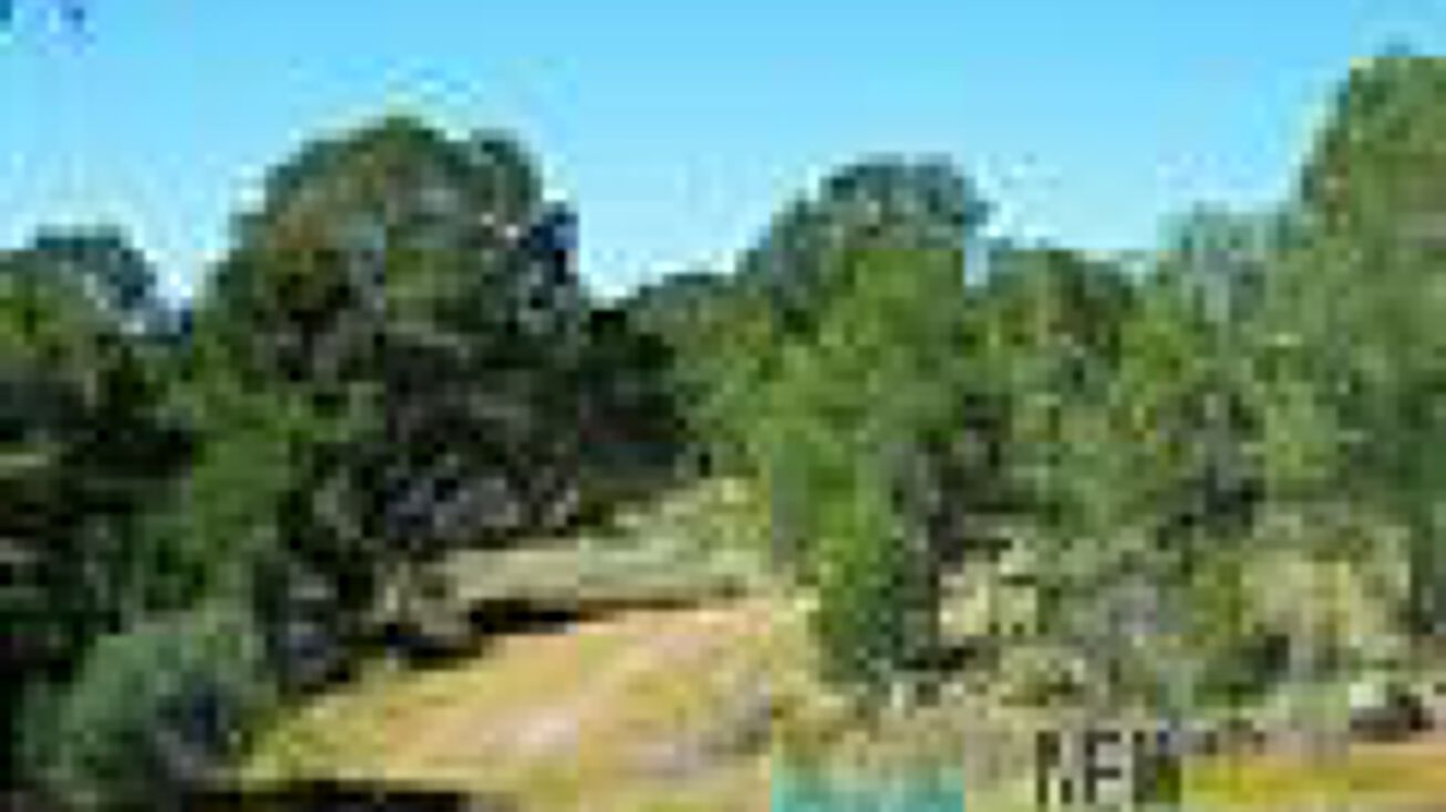 Darling Bell, Silver City, NM 88061