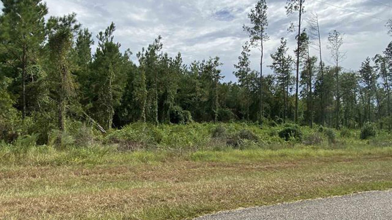 Lot 2 23799 Lonnie Hadley Rd, Perdido, AL 36562