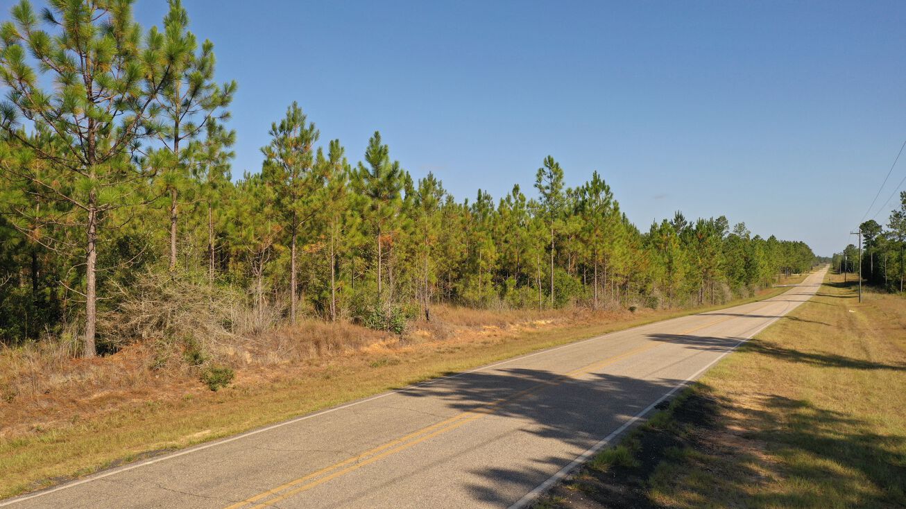 Lot 2 23799 Lonnie Hadley Rd, Perdido, AL 36562