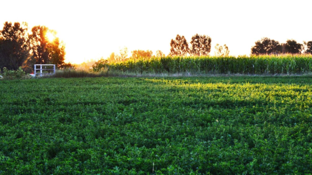 2154 E Highway 50, Pueblo, CO 81006