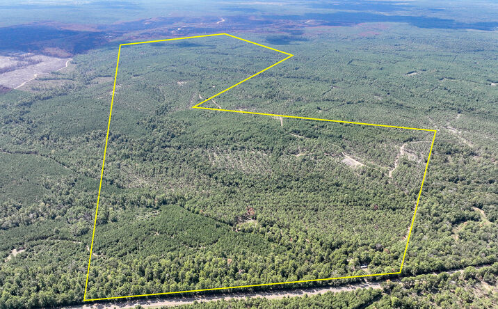 Pictures of Land property located at 07 FM 247, Huntsville, TX 77320 for sales - image #1