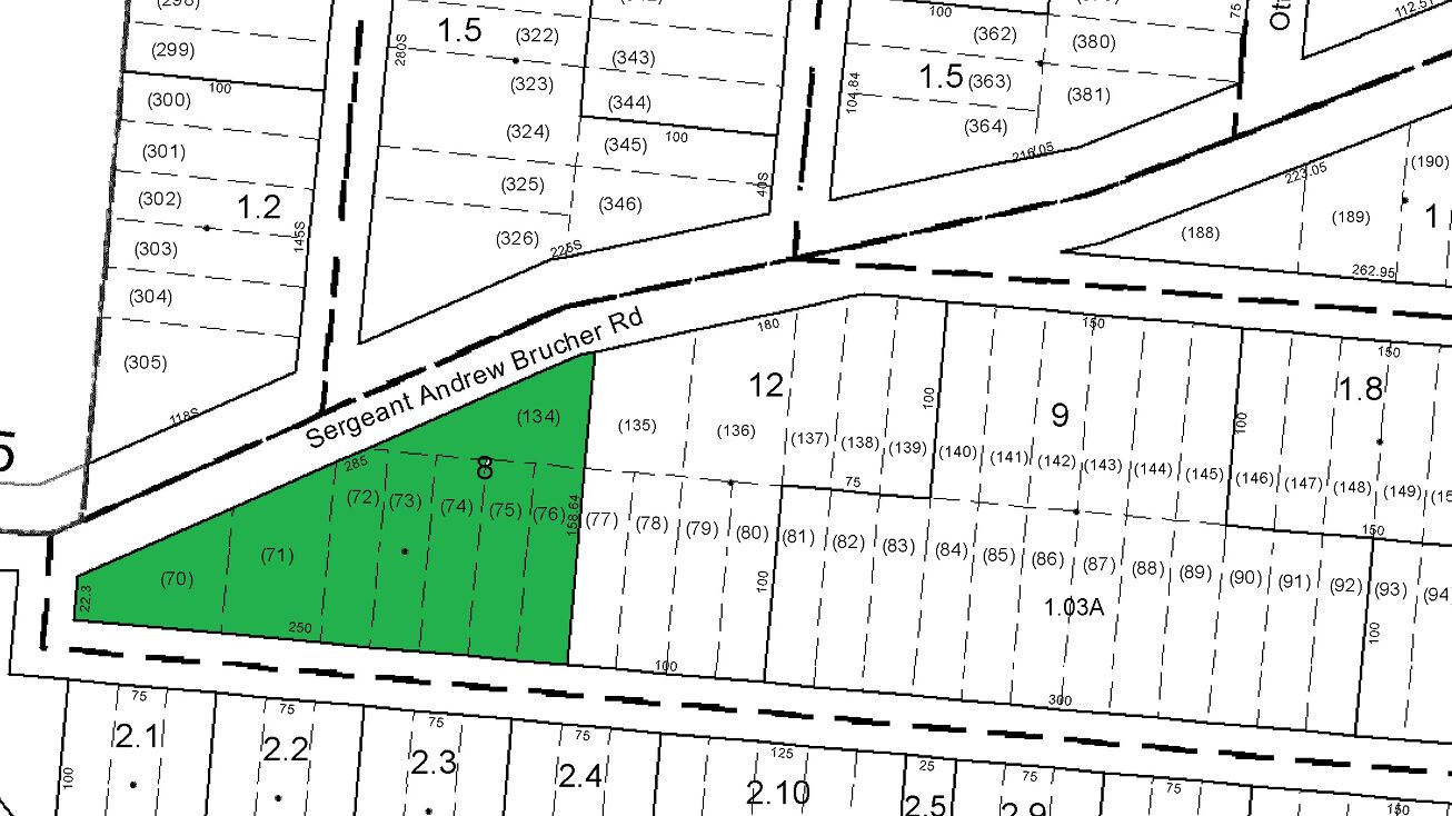 Sgt Andrew Brucher Rd, White Lake, NY 12786