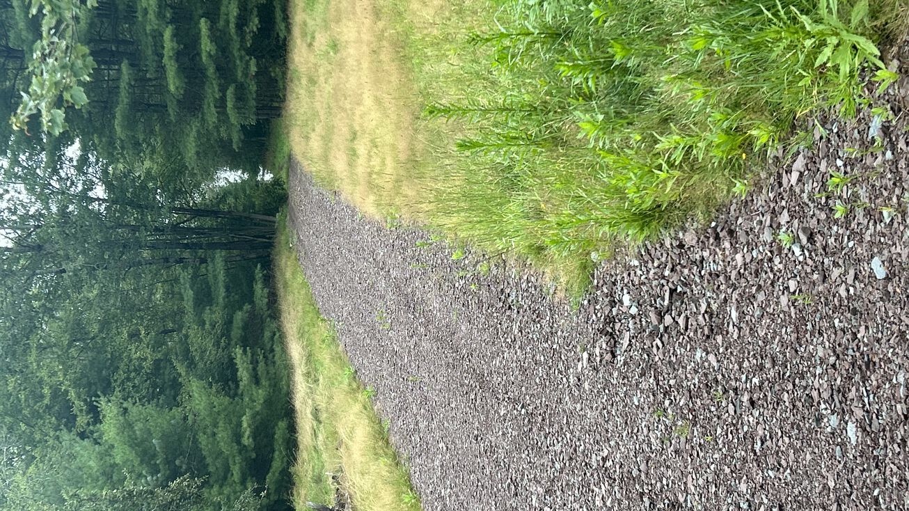 292 Lake View Dr, Eldred, NY 12732