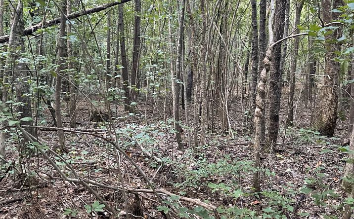 Pictures of Land property located at 5105 Linndale Rd, Graysville, AL 35073 for sales - image #1
