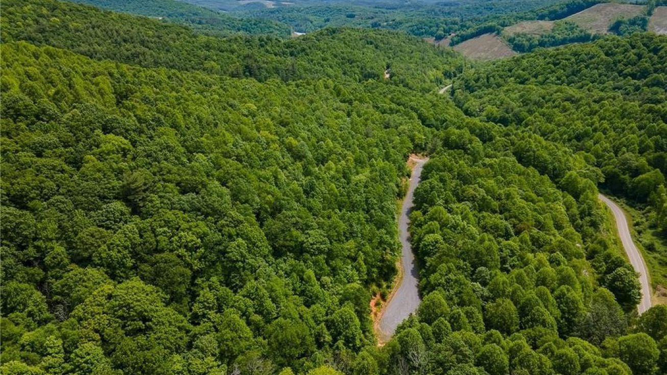 15 Christmas Mountain Lane, Fleetwood, NC 28626