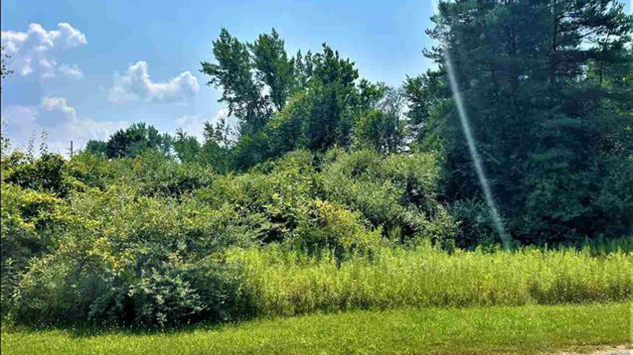 580 State Rd, Vassar, MI 48768