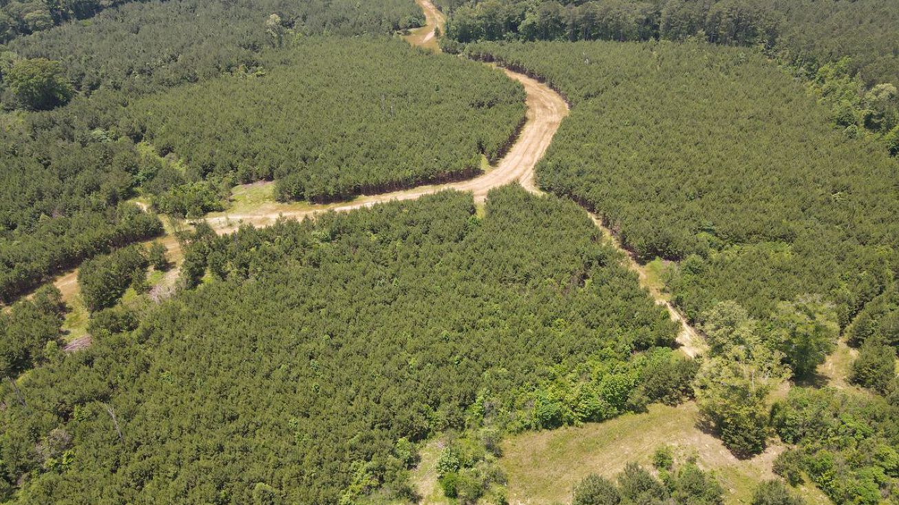 Odeal Williams Ln, Ethel, LA 70730