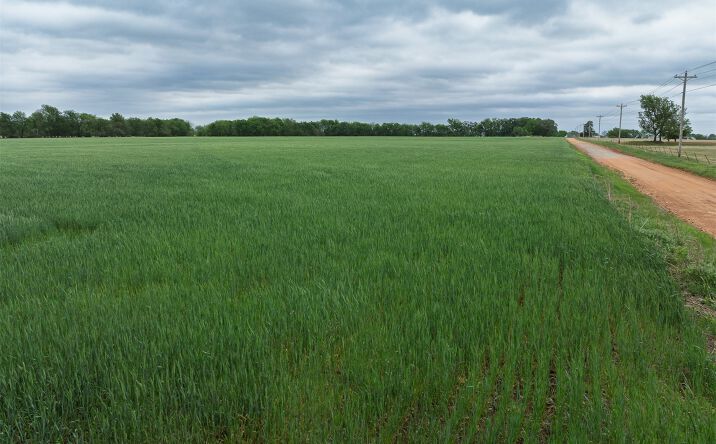 Pictures of Land property located at E 280 Road, Vinita, OK 74301 for sales - image #1