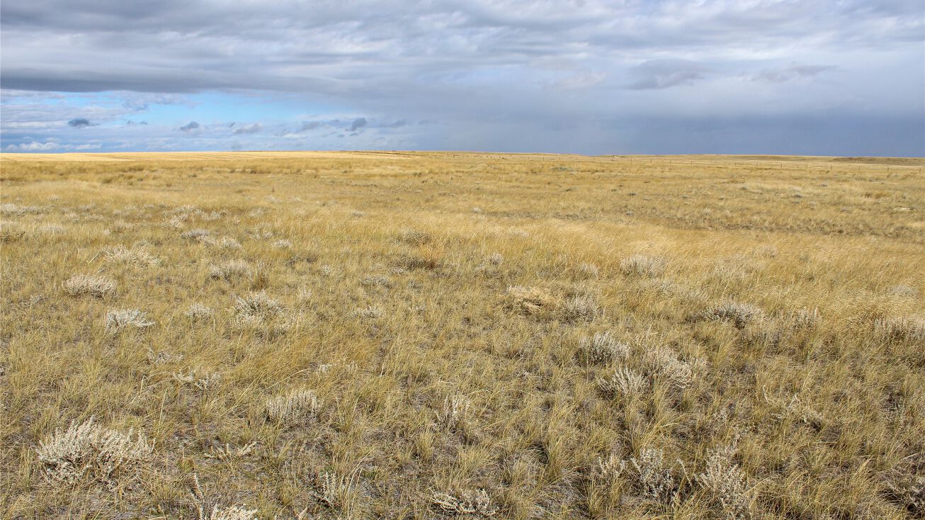 NHN N Joplin County Road, Joplin, MT 59531