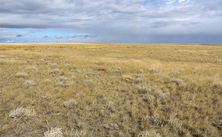 NHN N Joplin County Road, Joplin, MT 59531 | Crexi.com