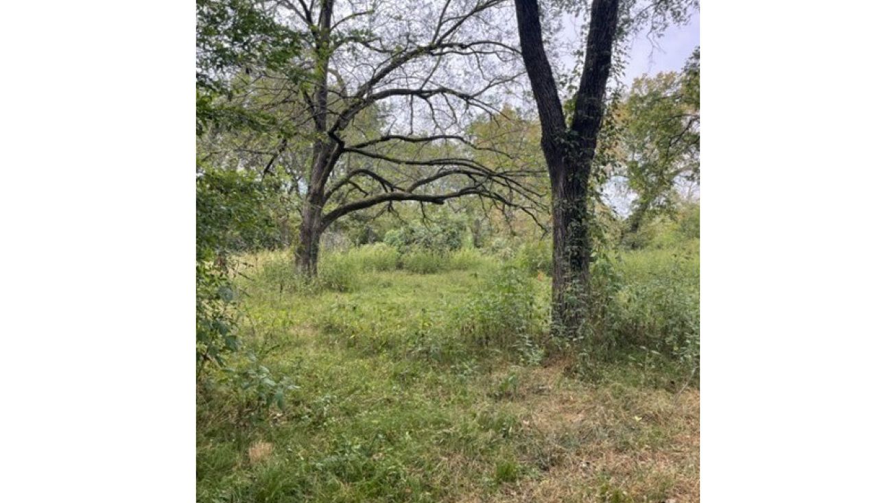 Bois D Arc St, Swink, OK 74761