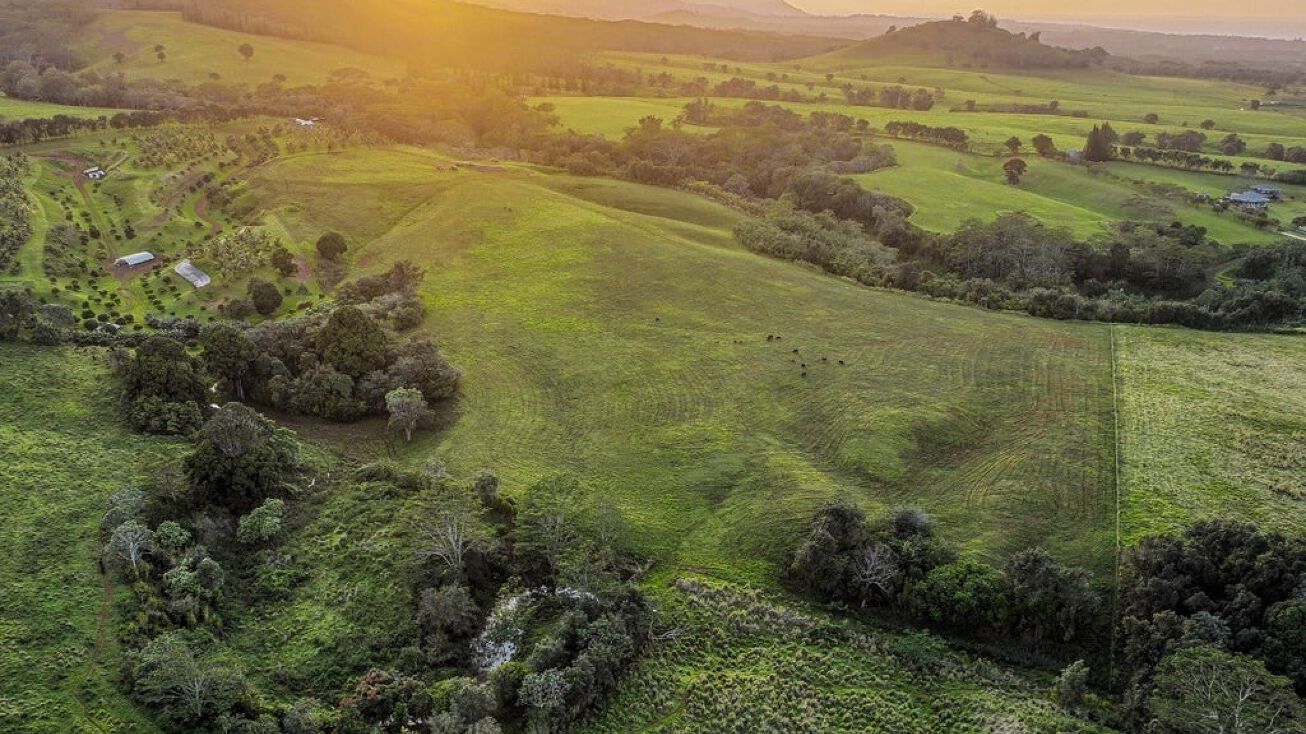 Keala Ranch, Kilauea, HI 96754
