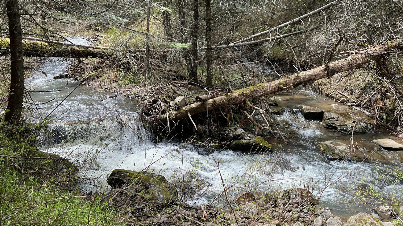 0 South Fork Coppei Road, Waitsburg, WA 99361