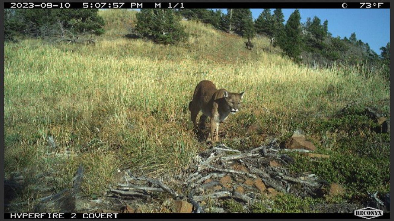 NHN Bear Creek Road, Wolf Creek, MT 59648 | Crexi.com