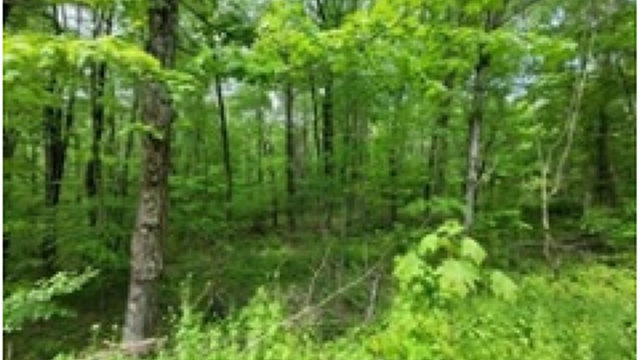 463 Leicester St, Auburn, MA 01501