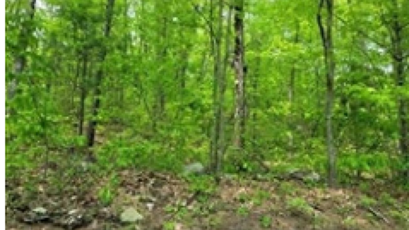 449 Leicester St, Auburn, MA 01501