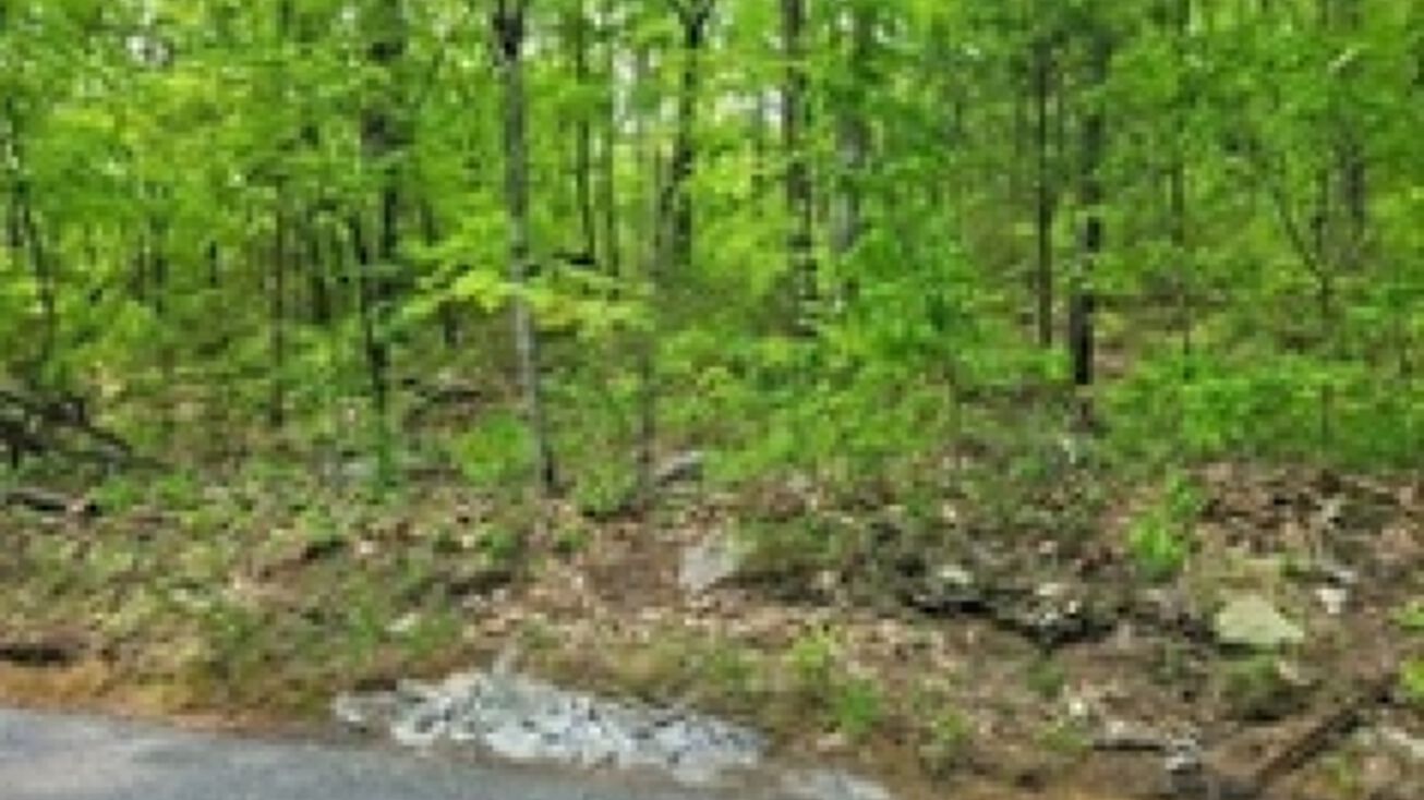 451 Leicester St, Auburn, MA 01501