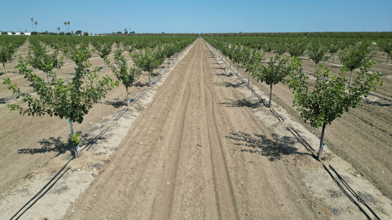 Merced Ave, Shafter, CA 93280