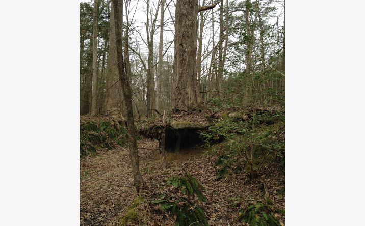Pictures of Land property located at 850 Granite Falls Blvd, Rolesville, NC 27571 for sales - image #1