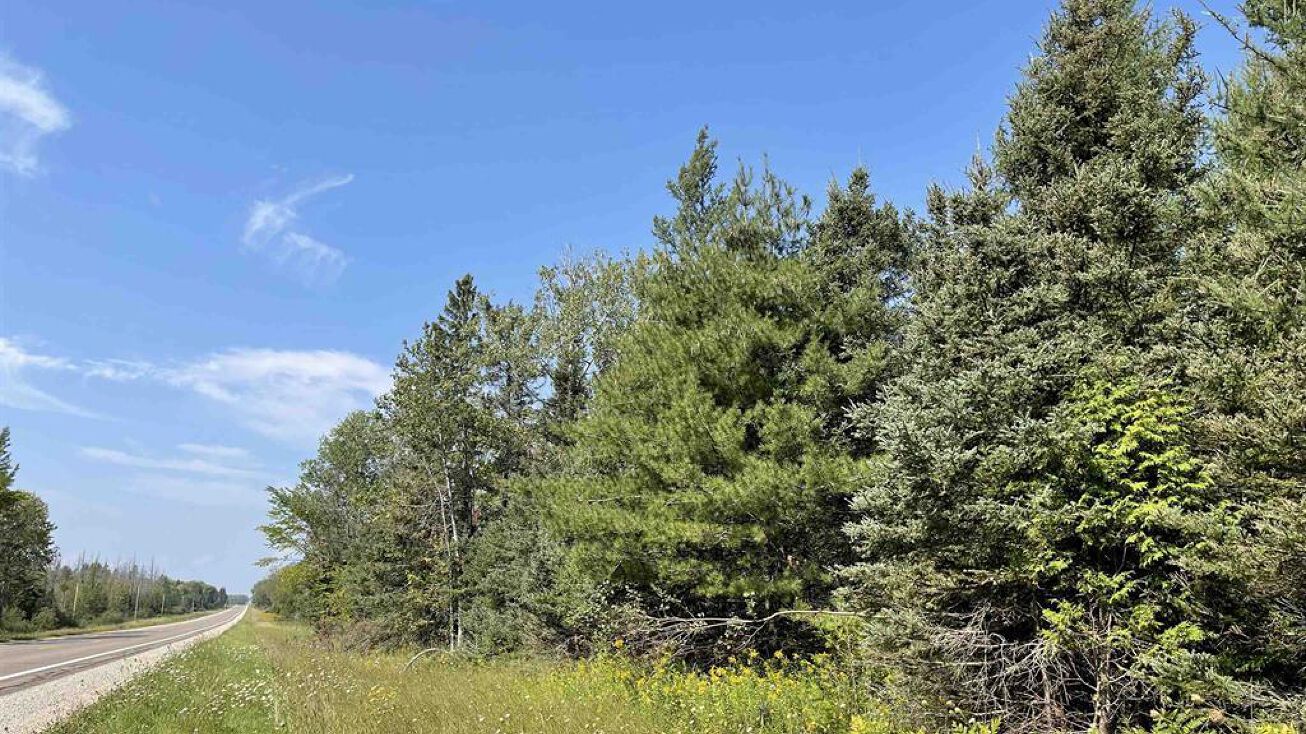 TBD M94, Skandia, MI 49885