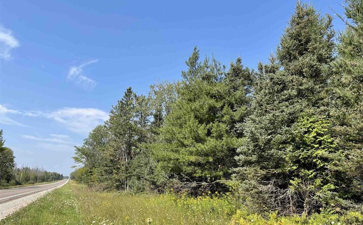 Pictures of Land property located at TBD M-94, Skandia, MI 49885 for sales - image #1