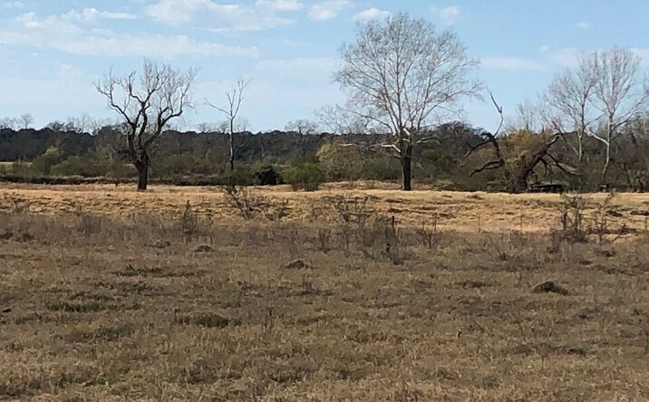Pictures of Land, Multifamily, Hospitality, Mixed Use, Mobile Home Park property located at 4390 I-10, Columbus, TX 78934 for sales - image #1