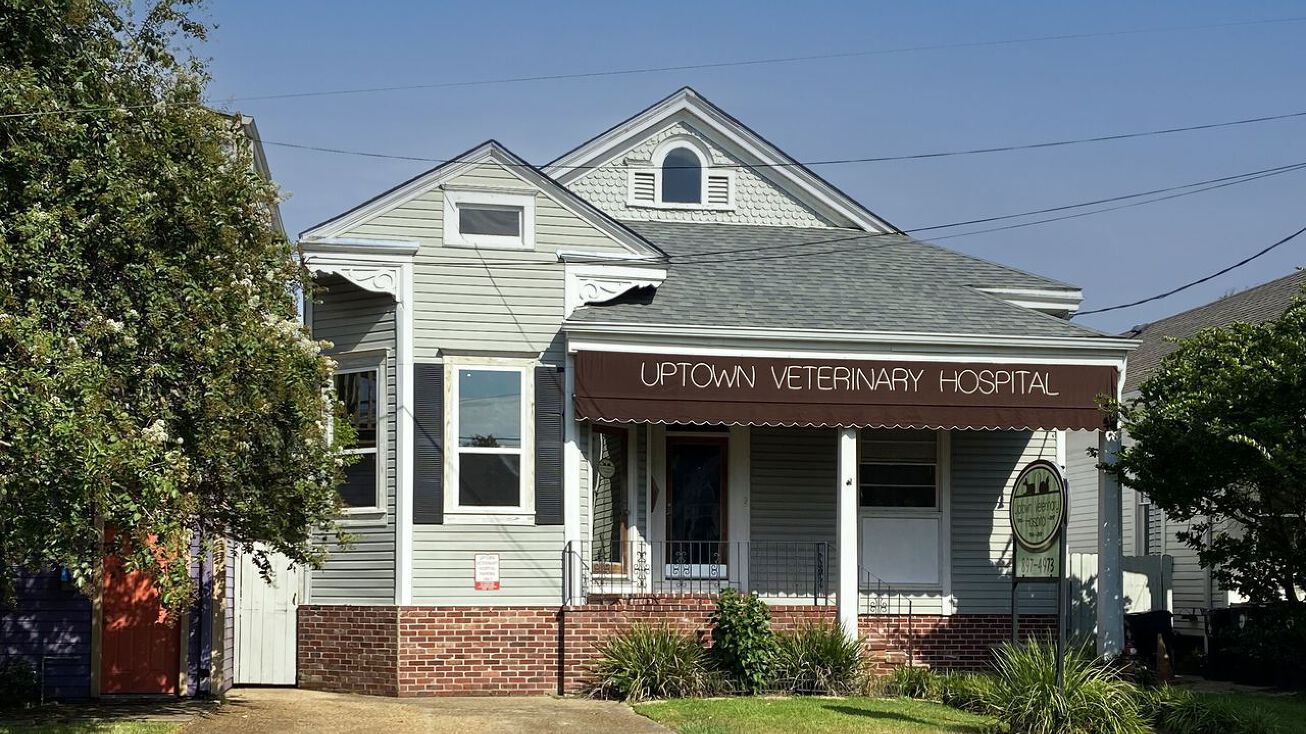 Pictures of Retail, Office property located at 731 Nashville Ave, New Orleans, LA 70115 for sales - image #1