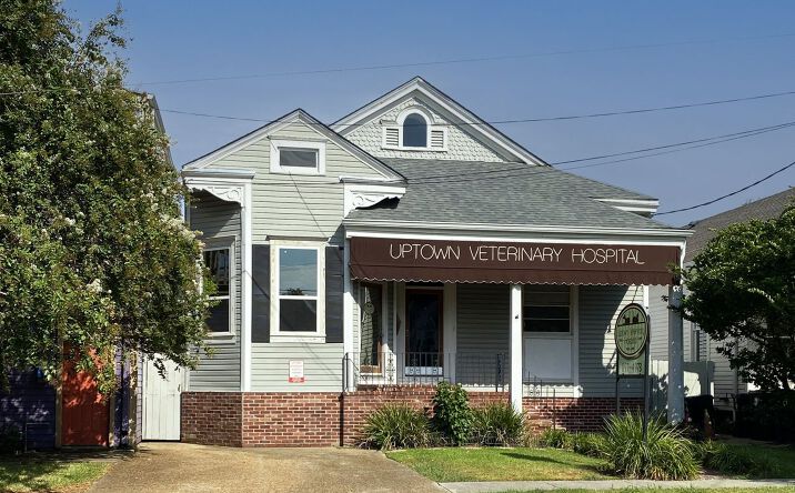 Pictures of Retail, Office property located at 731 Nashville Ave, New Orleans, LA 70115 for sales - image #1