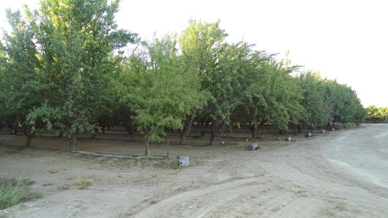 707 N Avenue, Kerman, CA 93630