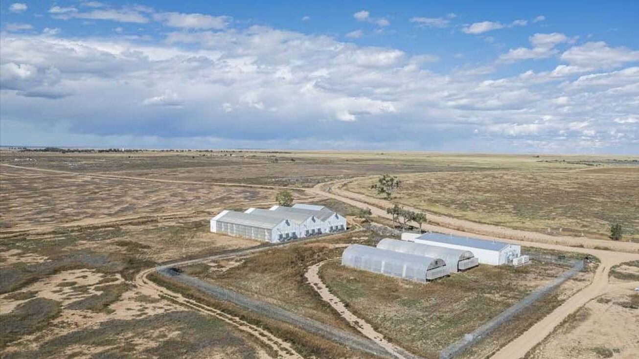 8867 and 8893 Maverick Lane, Ordway, CO 81063