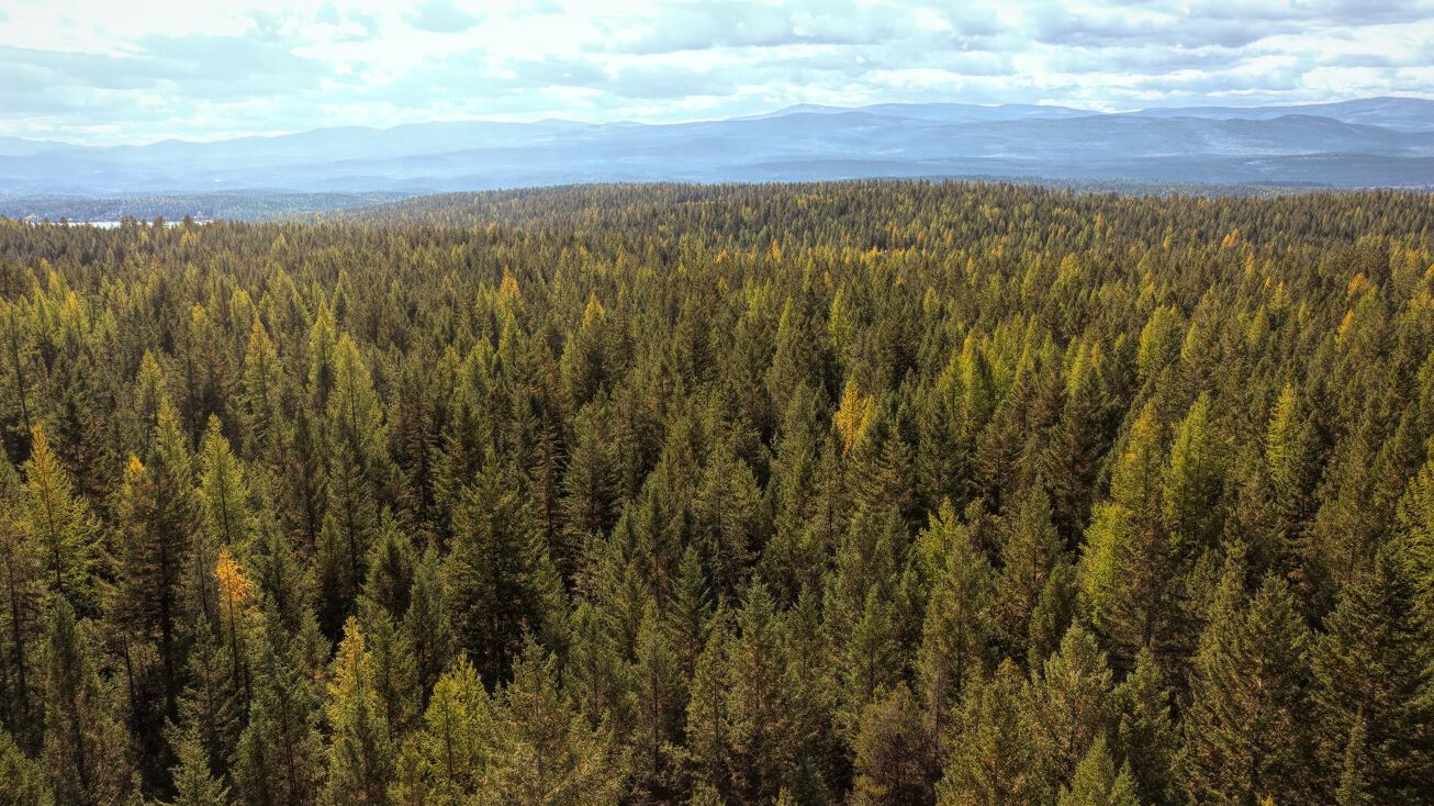 839 Sinclair Lane, Eureka, MT 59917