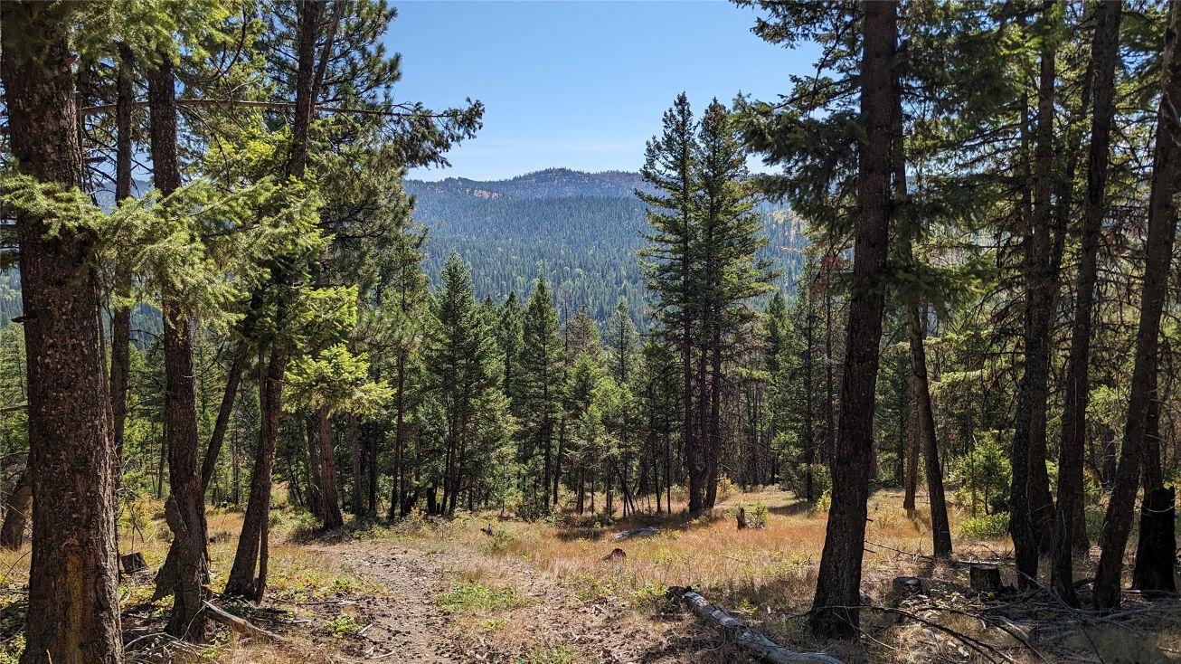 76 Hodge Ridge, Kila, MT 59920